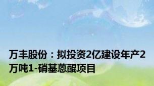 万丰股份：拟投资2亿建设年产2万吨1-硝基蒽醌项目