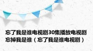 忘了我是谁电视剧30集播放电视剧忘掉我是谁（忘了我是谁电视剧）