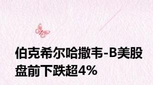 伯克希尔哈撒韦-B美股盘前下跌超4%