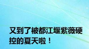 又到了被都江堰紫薇硬控的夏天啦！