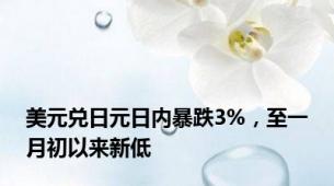 美元兑日元日内暴跌3%，至一月初以来新低