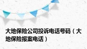 大地保险公司投诉电话号码（大地保险报案电话）