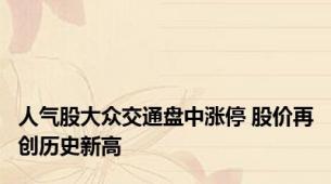 人气股大众交通盘中涨停 股价再创历史新高