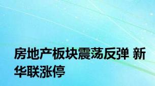 房地产板块震荡反弹 新华联涨停