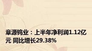 章源钨业：上半年净利润1.12亿元 同比增长29.38%