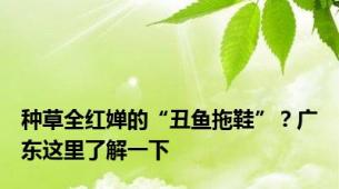 种草全红婵的“丑鱼拖鞋”？广东这里了解一下