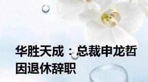 华胜天成：总裁申龙哲因退休辞职