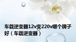 车载逆变器12v变220v哪个牌子好（车载逆变器）