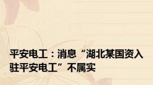 平安电工：消息“湖北某国资入驻平安电工”不属实