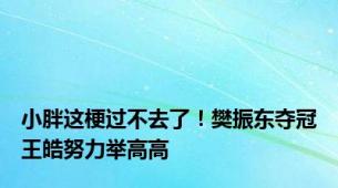 小胖这梗过不去了！樊振东夺冠王皓努力举高高