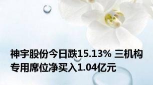 神宇股份今日跌15.13% 三机构专用席位净买入1.04亿元