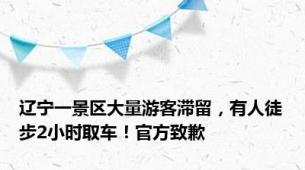 辽宁一景区大量游客滞留，有人徒步2小时取车！官方致歉