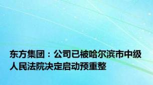 东方集团：公司已被哈尔滨市中级人民法院决定启动预重整