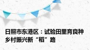 日照市东港区：试验田里育良种 乡村振兴新“稻”路