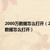 2000万数据怎么打开（2000w数据怎么打开）