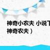 神奇小农夫 小说下载（神奇农夫）