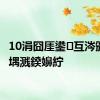 10涓囧厓鍙互涔颁粈涔堣溅鍨嬶紵