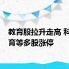 教育股拉升走高 科德教育等多股涨停