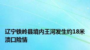 辽宁铁岭县境内王河发生约18米溃口险情