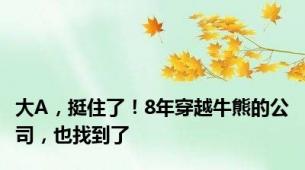 大A，挺住了！8年穿越牛熊的公司，也找到了