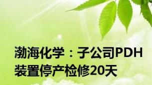 渤海化学：子公司PDH装置停产检修20天