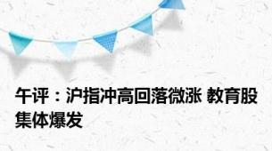 午评：沪指冲高回落微涨 教育股集体爆发