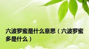 六波罗蜜是什么意思（六波罗蜜多是什么）