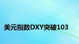 美元指数DXY突破103