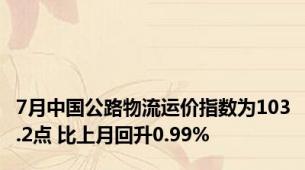 7月中国公路物流运价指数为103.2点 比上月回升0.99%