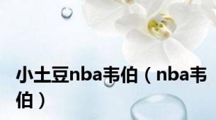 小土豆nba韦伯（nba韦伯）