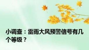 小调查：雷雨大风预警信号有几个等级？