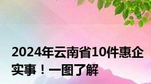 2024年云南省10件惠企实事！一图了解