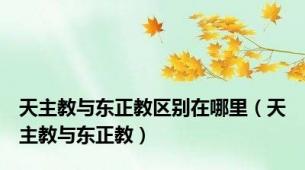 天主教与东正教区别在哪里（天主教与东正教）