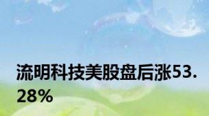 流明科技美股盘后涨53.28%