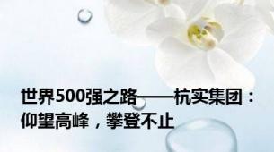 世界500强之路——杭实集团：仰望高峰，攀登不止