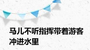 马儿不听指挥带着游客冲进水里