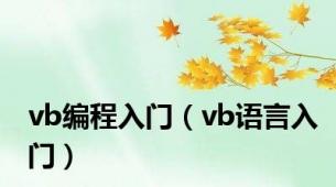 vb编程入门（vb语言入门）