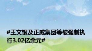 #王文银及正威集团等被强制执行3.02亿余元#