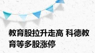 教育股拉升走高 科德教育等多股涨停