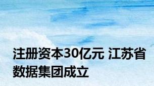 注册资本30亿元 江苏省数据集团成立