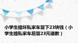 小学生撞坏私家车留下23块钱（小学生撞私家车后留23元道歉）