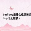 bad boy是什么意思英语（badboy什么意思）