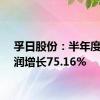 孚日股份：半年度净利润增长75.16%