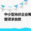 中小型光伏企业筹划重整谋求自救