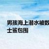 男孩海上潜水被数只护士鲨包围