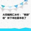 大同镇两汇水村：“春耕”变“春收”林下羊肚菌丰收了