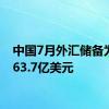 中国7月外汇储备为32563.7亿美元