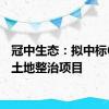 冠中生态：拟中标6亿元土地整治项目