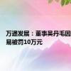 万通发展：董事吴丹毛因短线交易被罚10万元