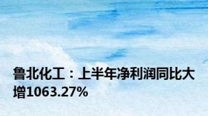 鲁北化工：上半年净利润同比大增1063.27%